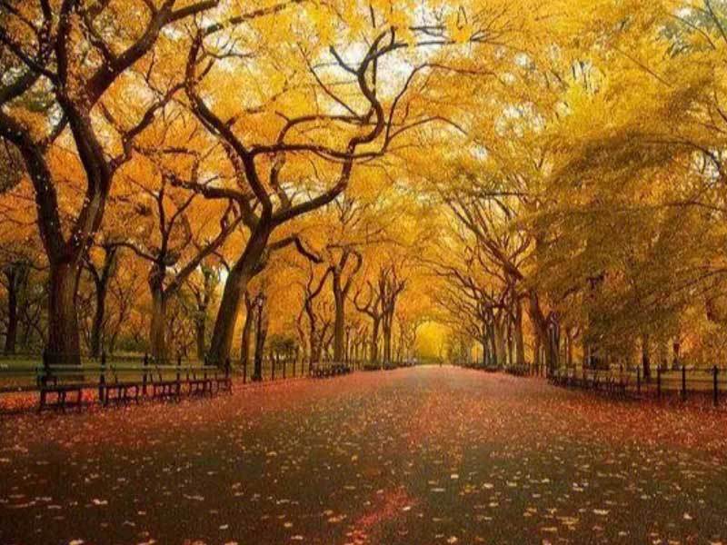 校园篮球技巧挑战赛举行,选手各显神通