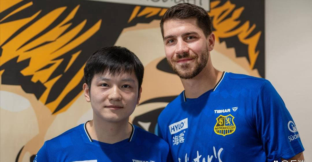 弗朗西斯卡鼓励樊振东,共同复盘比赛